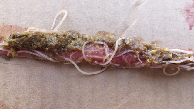 Ascaris galli dans l’intestin d’un poulet de 6 semaines