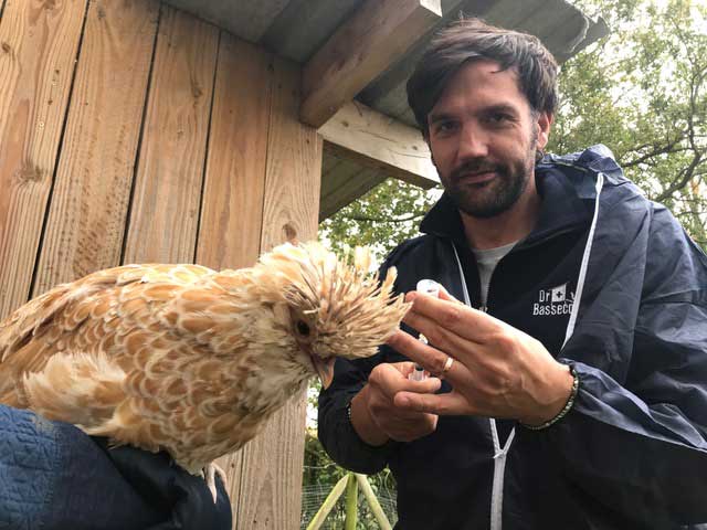 Préparation d'un vaccin dans un petit élevage de volailles