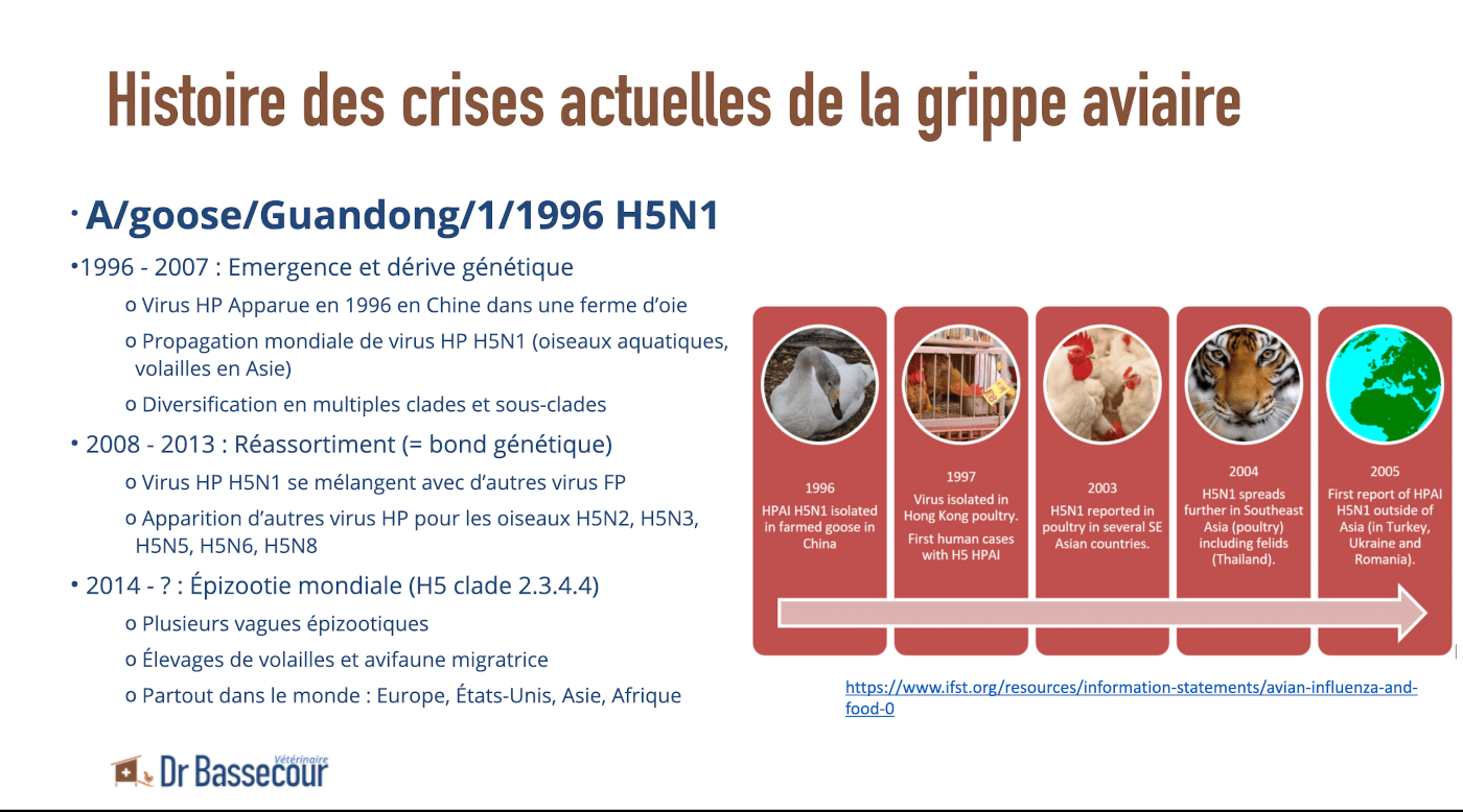 Histoire de la grippe aviaire