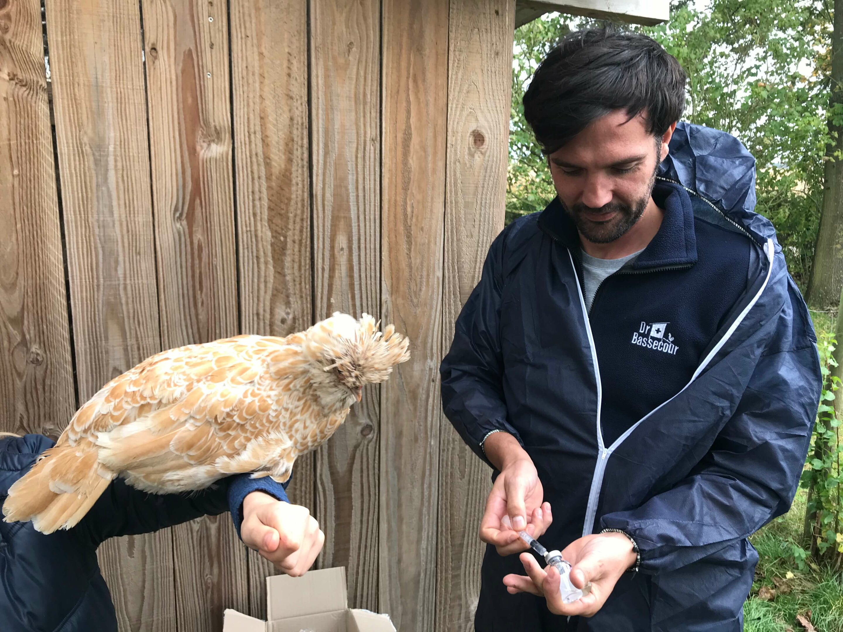 Dans les élevages avicoles commerciaux, la vaccination est une pratique incontournable pour éviter les épidémies qui peuvent avoir un impact économique significatif. En revanche, les petits éleveurs et amateurs de bassecour vaccinent rarement leurs volailles.